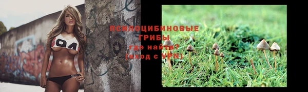 mix Армянск