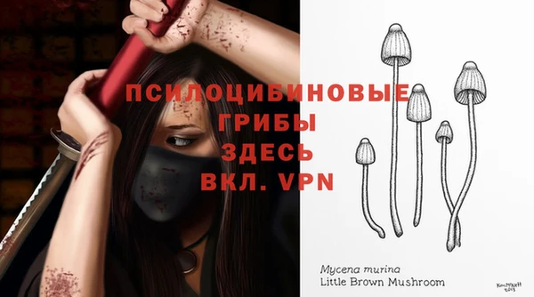 spice Гусев