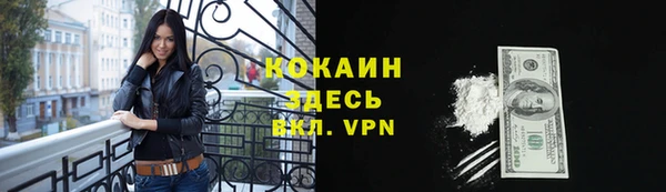 твердый Аркадак