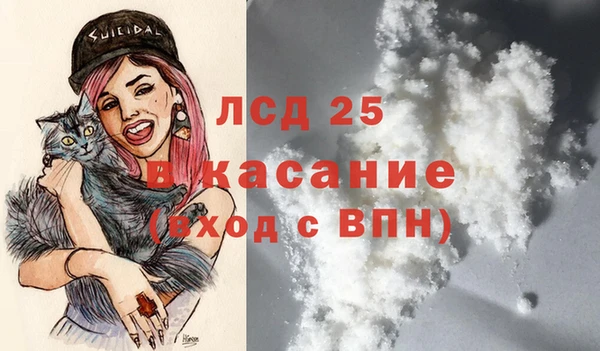 твердый Аркадак