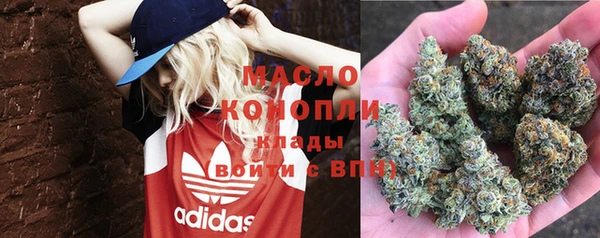 ПСИЛОЦИБИНОВЫЕ ГРИБЫ Арсеньев