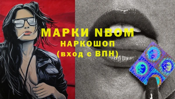 твердый Аркадак