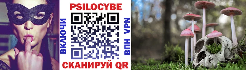 Псилоцибиновые грибы ЛСД  Правдинск 