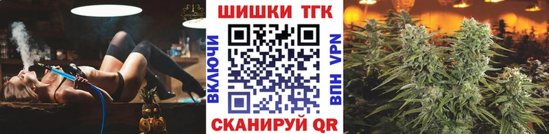 Конопля сатива Правдинск